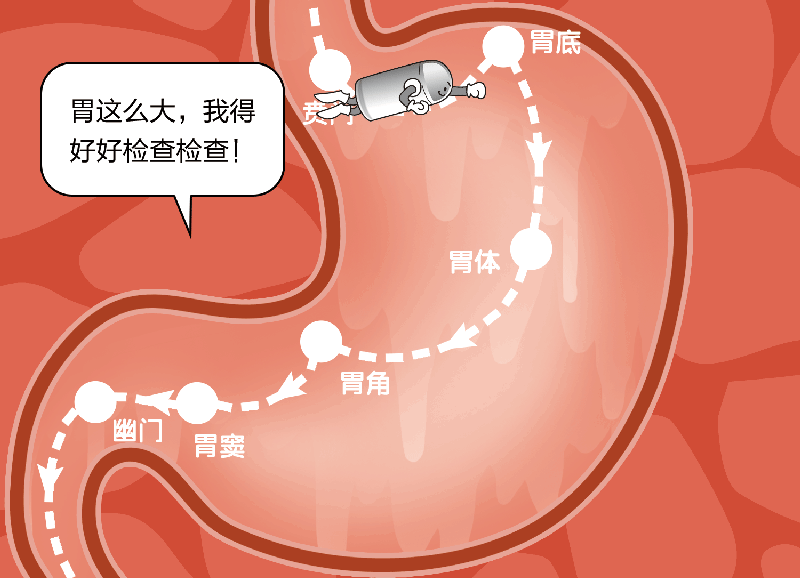 1653029574974488.gif